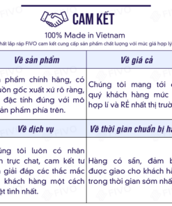 Cam kết