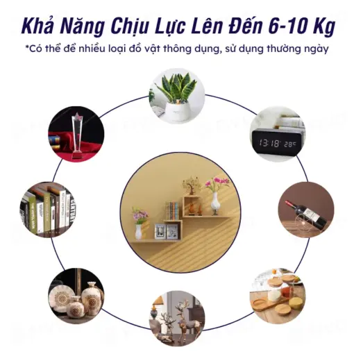 Sản Phẩm FB42 FIVO