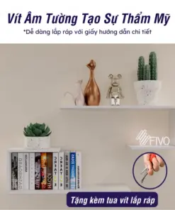 Sản PHẩm FB42 FIVO