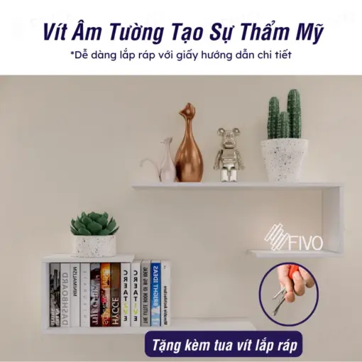 Sản PHẩm FB42 FIVO