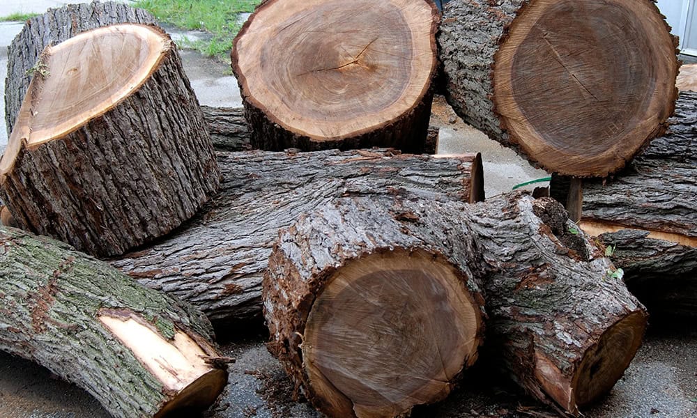 Đặc tính của gỗ tự nhiên